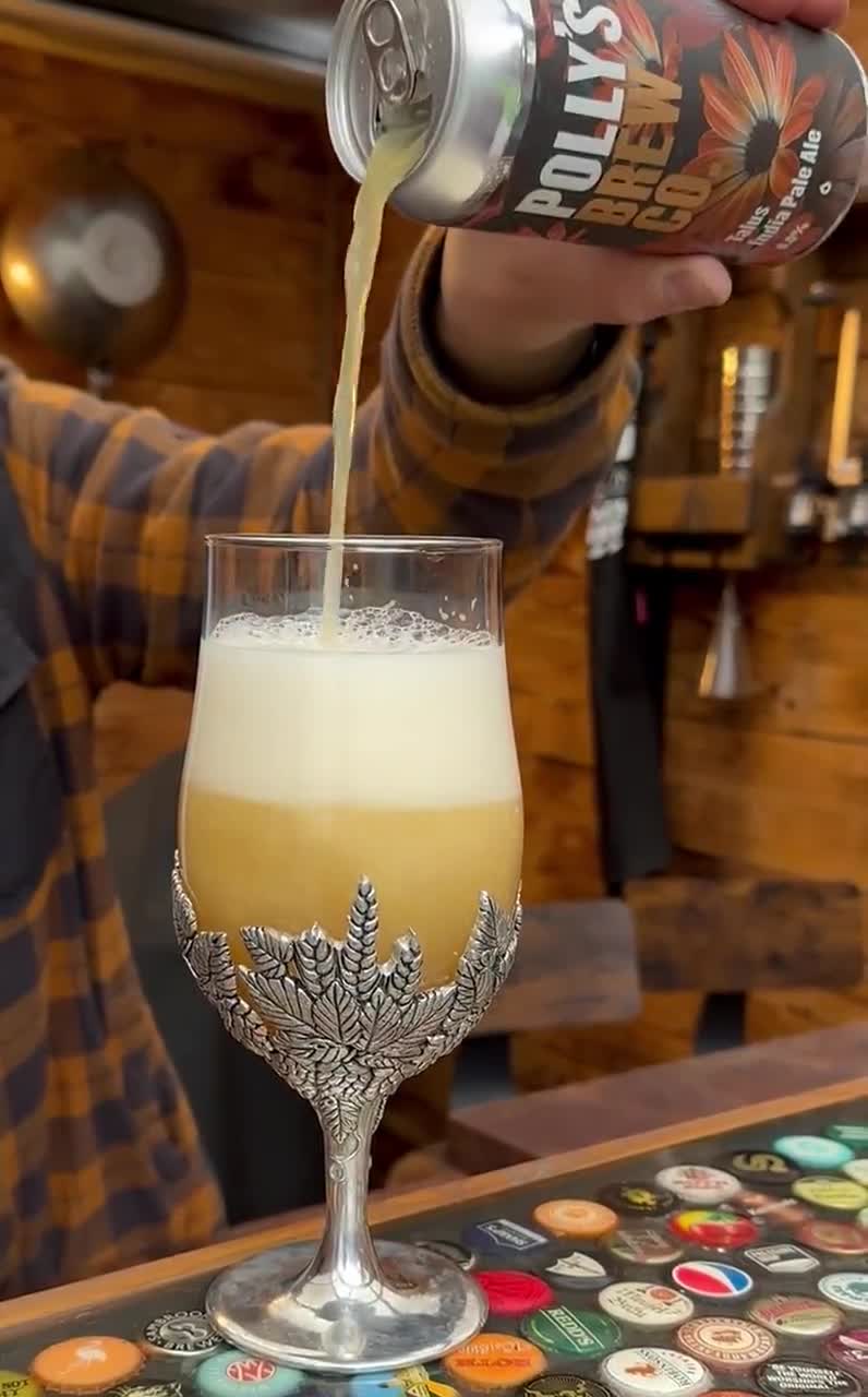 Kaltner Präsente Idea regalo – Zanzariera per bicchieri e bevande in vero legno/birra, vino e birra, bicchieri da birra, bicchieri da vino, tazze da birra, birra, giardino e dito