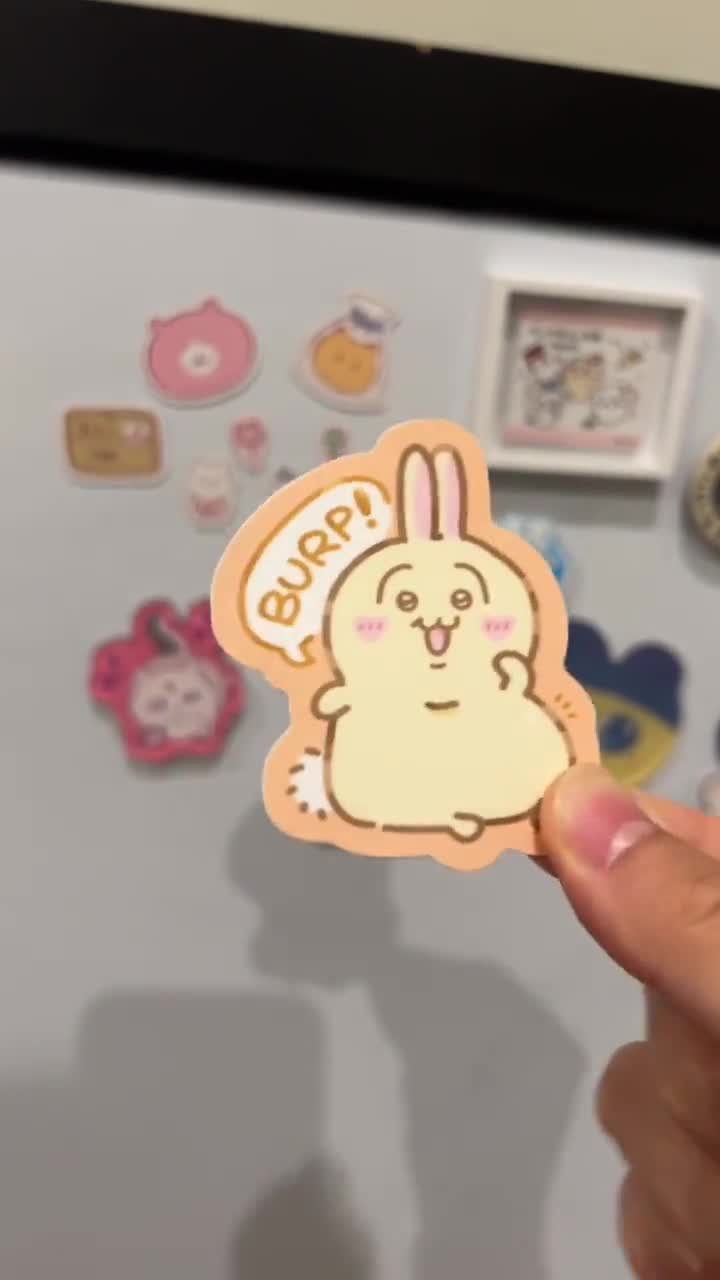 Chiikabu Usagi Momonga DGAF Waterproof Vinyl Stickers - Etsy