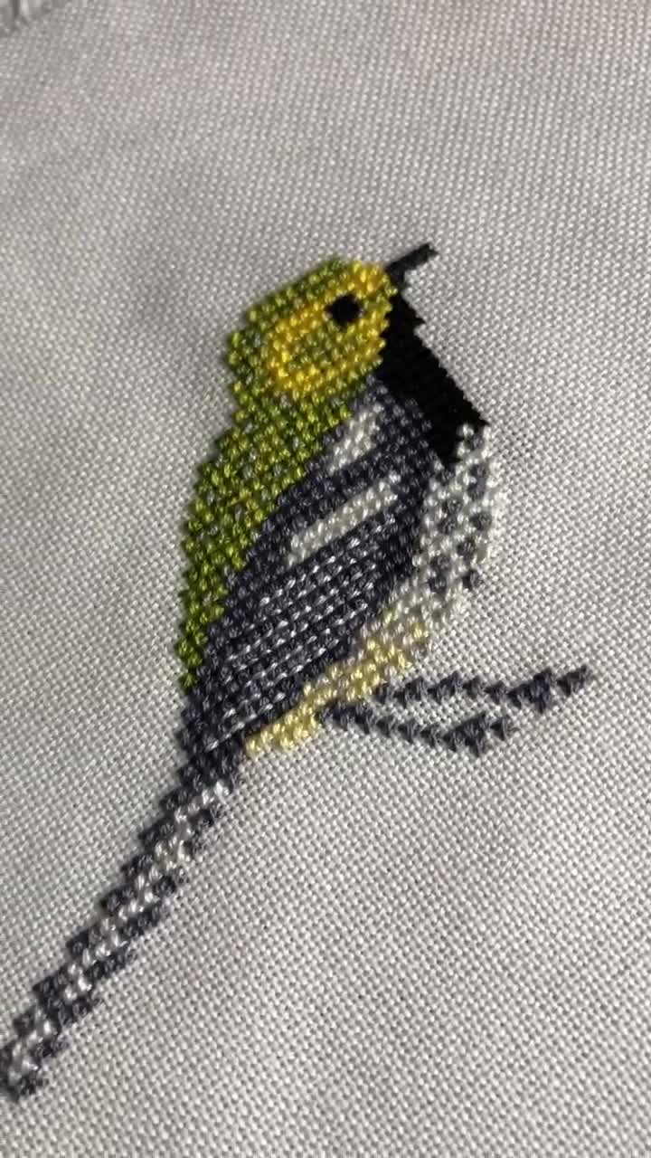 Small Mini Cross Stitch Kit With Optional 4 Inch Hoop, Cute Robin Bird  Design, DIY Embroidery Wall Art, Décor, Beginner Friendly 