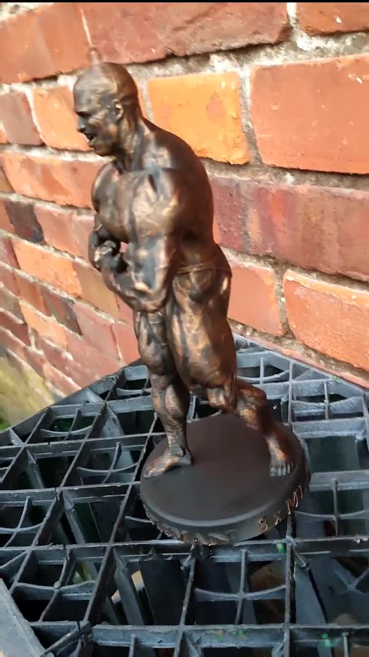 ロニー・コールマン - 最も筋肉質なボディビルダー像、ミスター