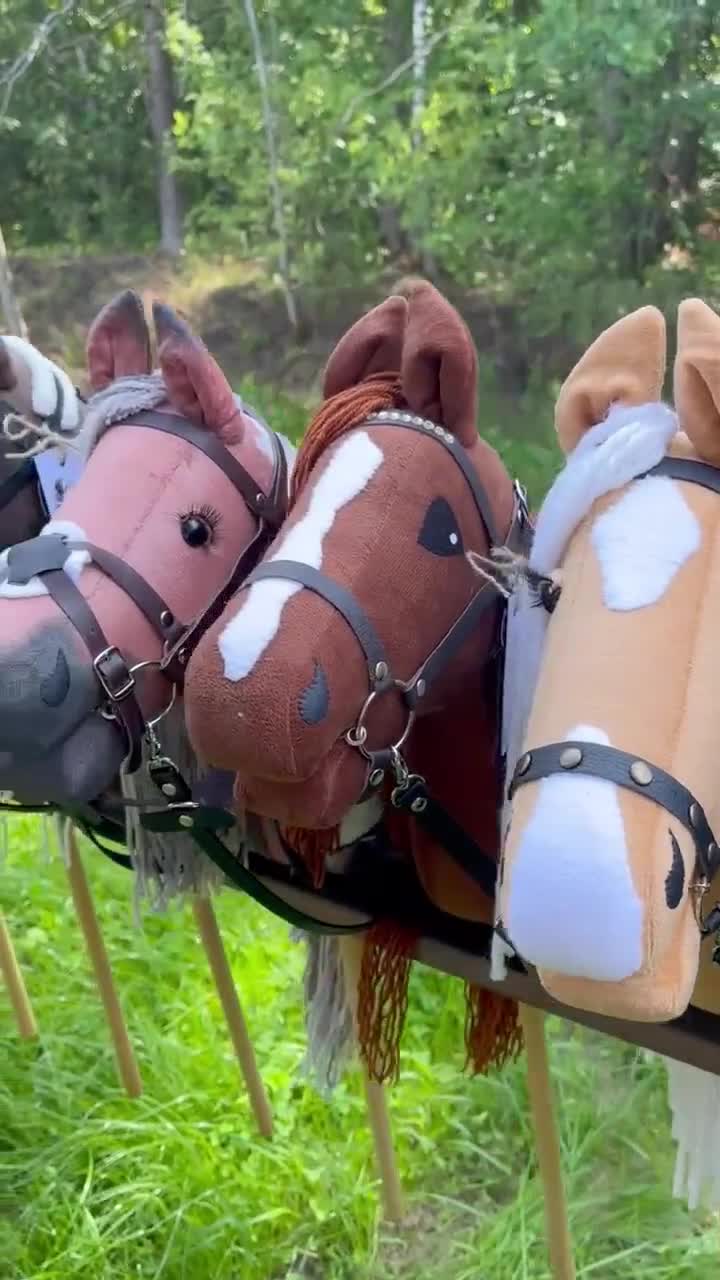 Hobby Horse A3 Top Quality ARIZONA - Etsy