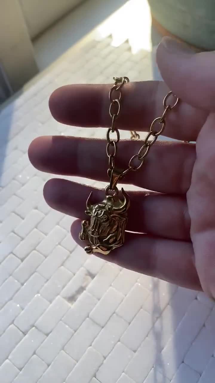 Bijoux Goudkleurige Ketting Met Hanger Sterrenbeeld Schorpioen Voor Dames 106121