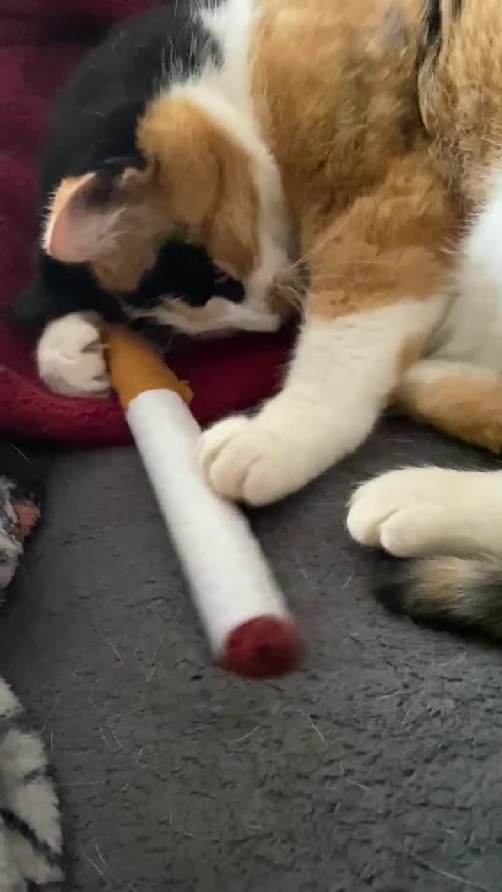 does cillian murphy smoke real cigarettes Oppenheimer's Cillian Murphy Bunt Out on Prop Cigarettes — Breathe  Sacramento