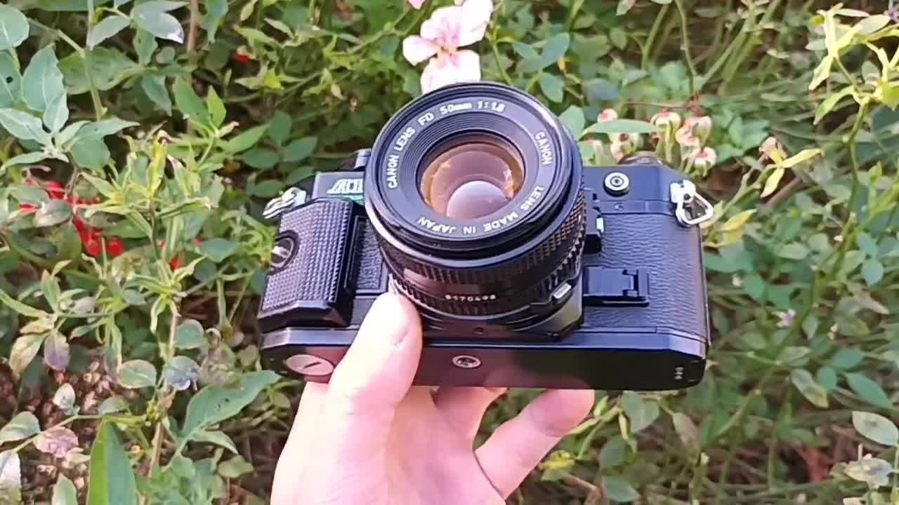 Canon AE-1 PROGRAM - ブラック - 50 mm f/1.8 レンズ付きフィルム