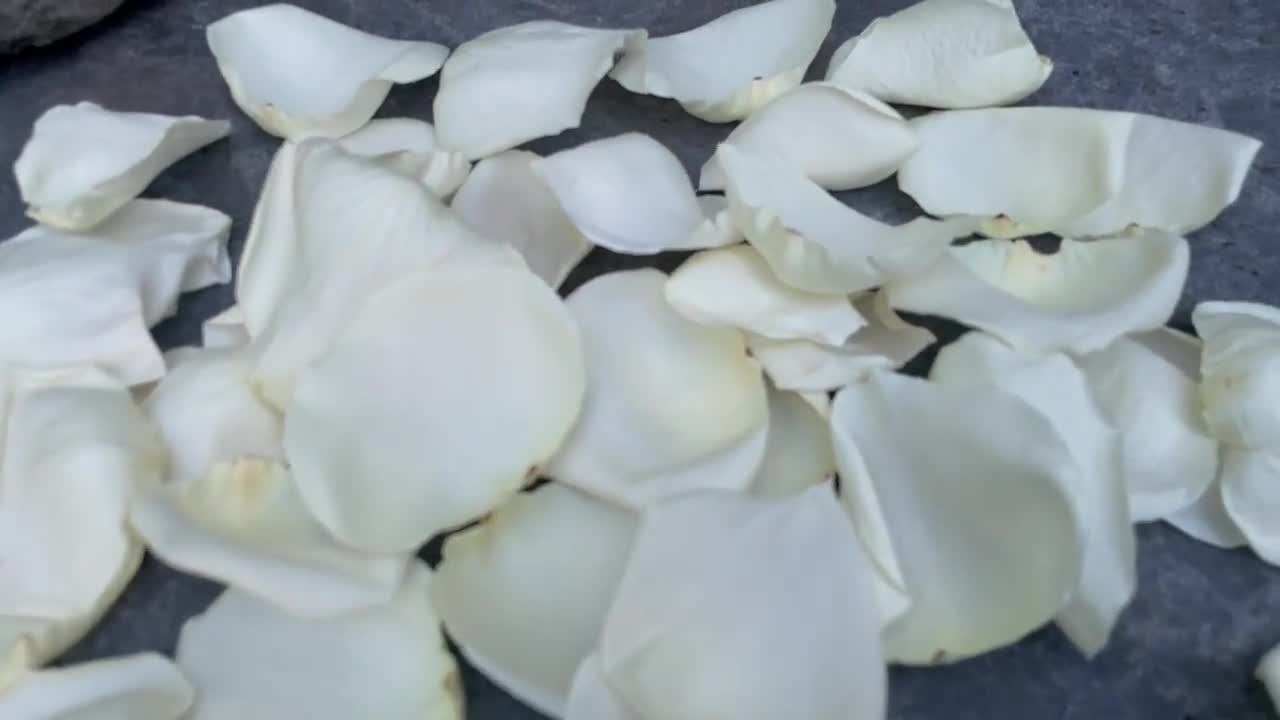 Rose Petals [Shade Dried Gulab Petals], 50g – Blend It Raw Apothecary