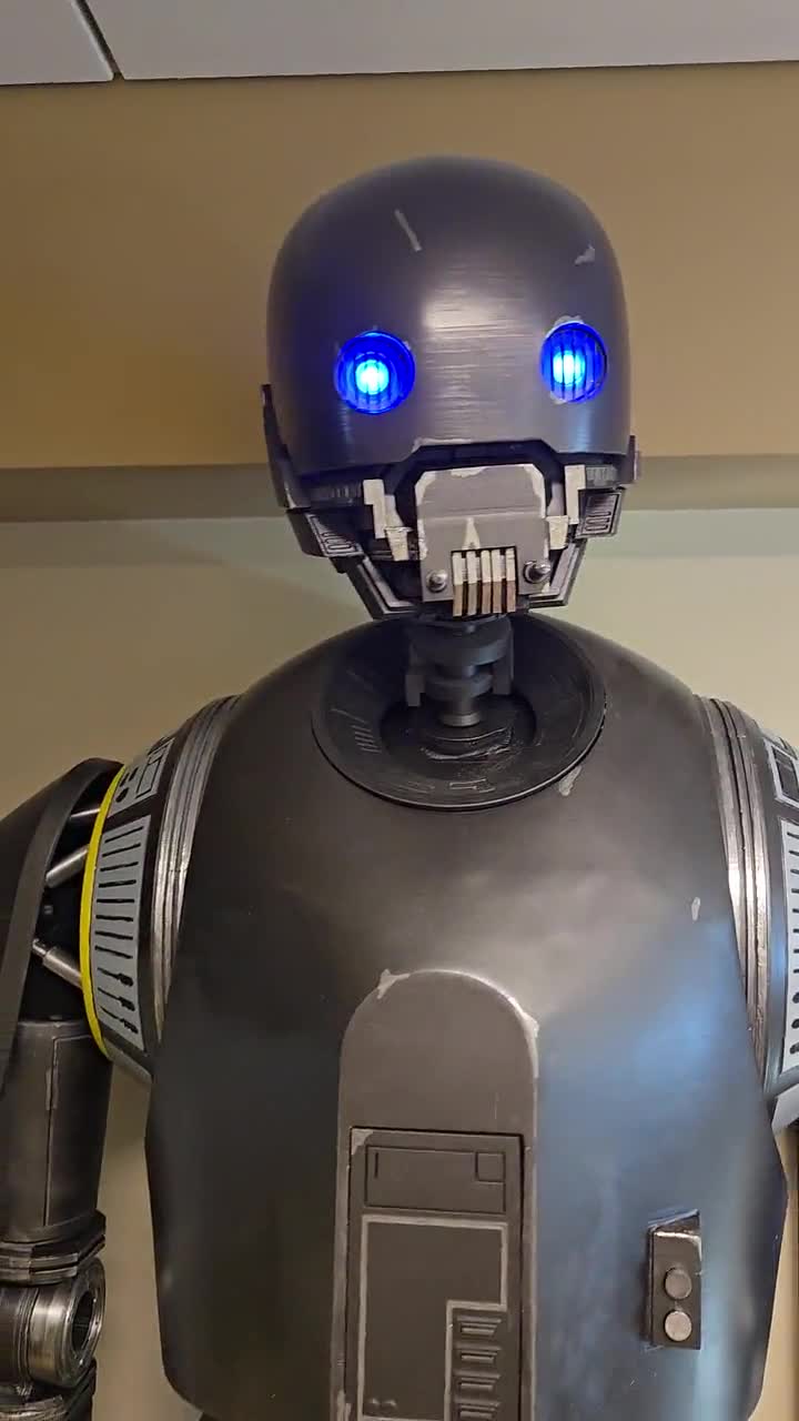 K2SO フルサイズドロイドキット - Etsy 日本