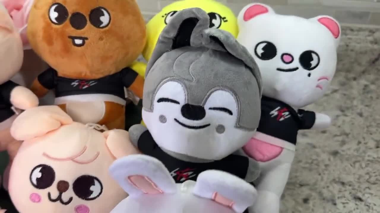 Straykids 20cm Plushies, Kpop Plushies, Skzoo Plushies - Etsy