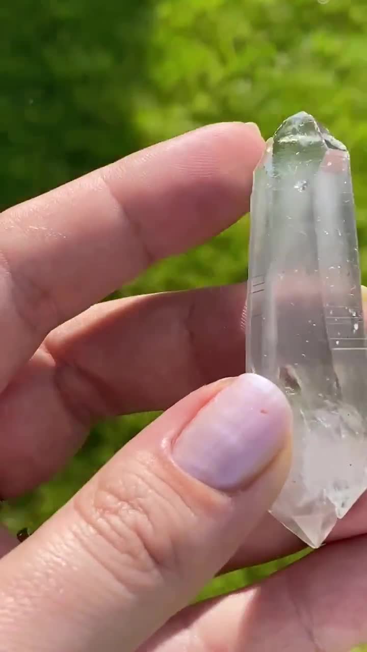 コロンビアレムリアン ダブルターミネイティッド コロンビアレムリアン