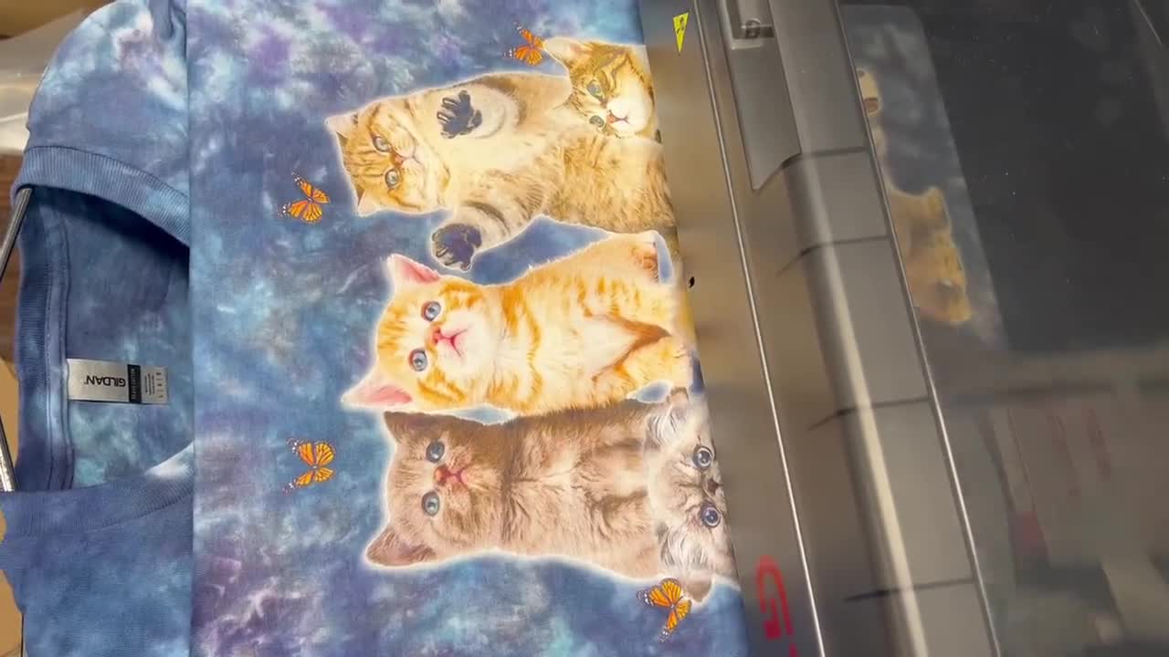 【RUDDYCHEEKS】21 Cats T-shirts Jimi Hendrix Cat T-Shirt - Cat Bandit | Cat Shirts