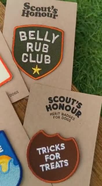 Trail Buddy iron-on patch for dogs – Scout's Honour