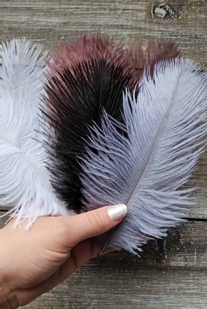 10 Pcs Black Ostrich Feathers 6-8 Dyed Wedding Craft Carnival Centerpiece  Feathers 