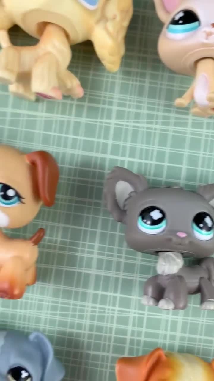 Littlest Pet Shop Hasbro – Lot De 3 Animaux œufs De Pâques Rares – 602, 603, 604 – Neufs
