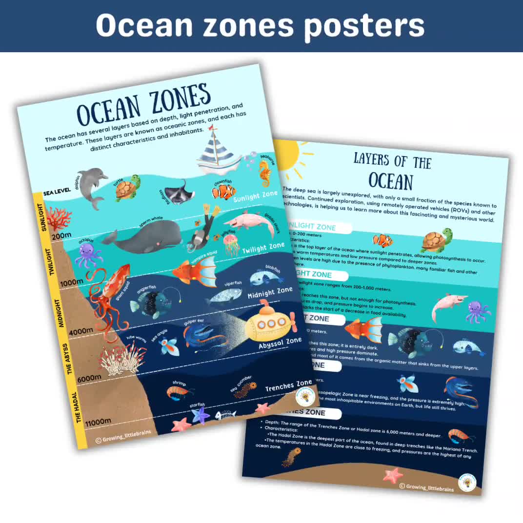 Ocean Zones Learning Pack | 12 Facts Flashcards | Deep Ocean