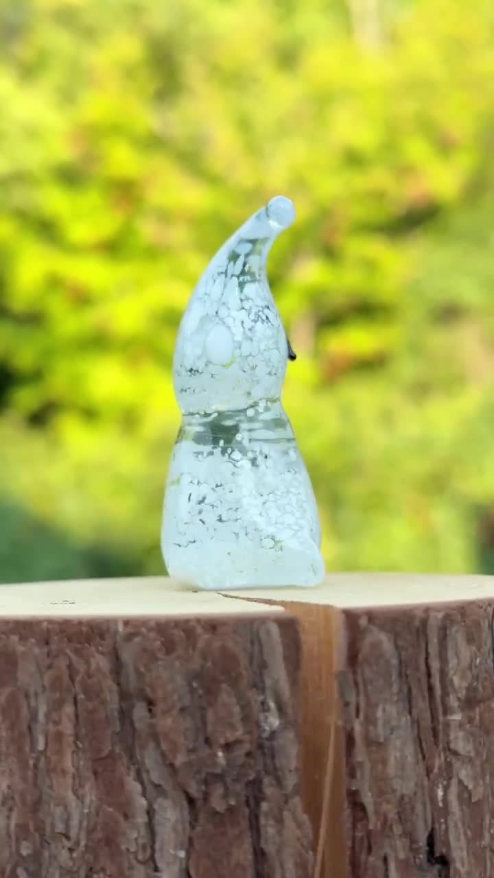 P. ghost ゴースト 株分品 P.ghost ゴースト 株分品