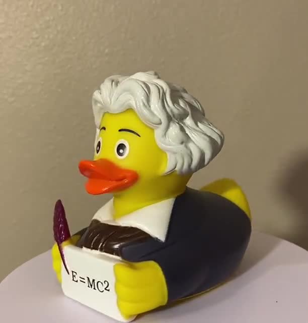 Einstein rubber duck online