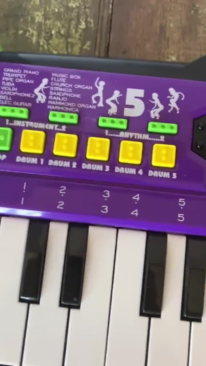 きなこ Kawasaki Dual-Cool-Keys 48 keys Foldable Keyboard Electronic