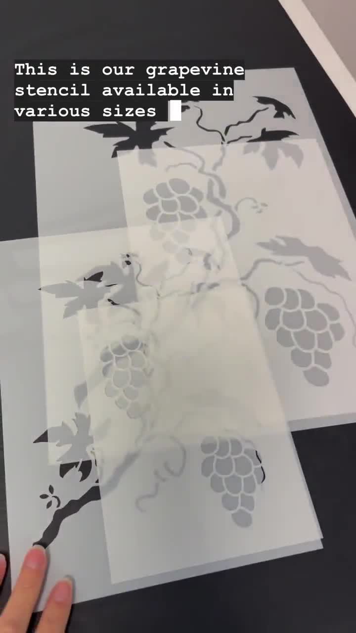  Zzooi Hollowed Out Grape Vine Painting Stencil Hollow Grapevine  Drawing Template for DIY Shirts DIY Craft DIY Drawing