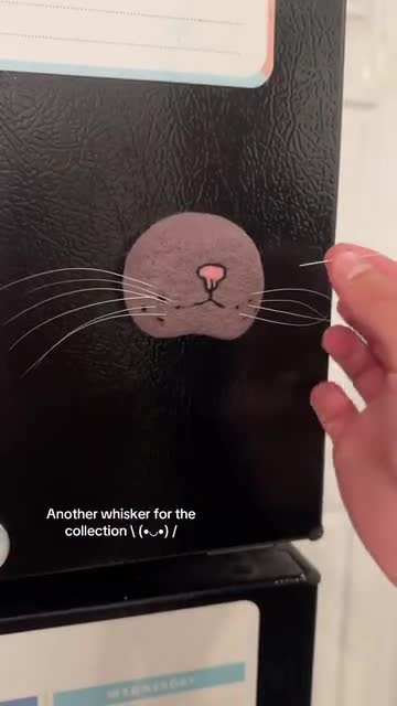 Handmade Magnetic Felt Cat Whisker Collector - Etsy
