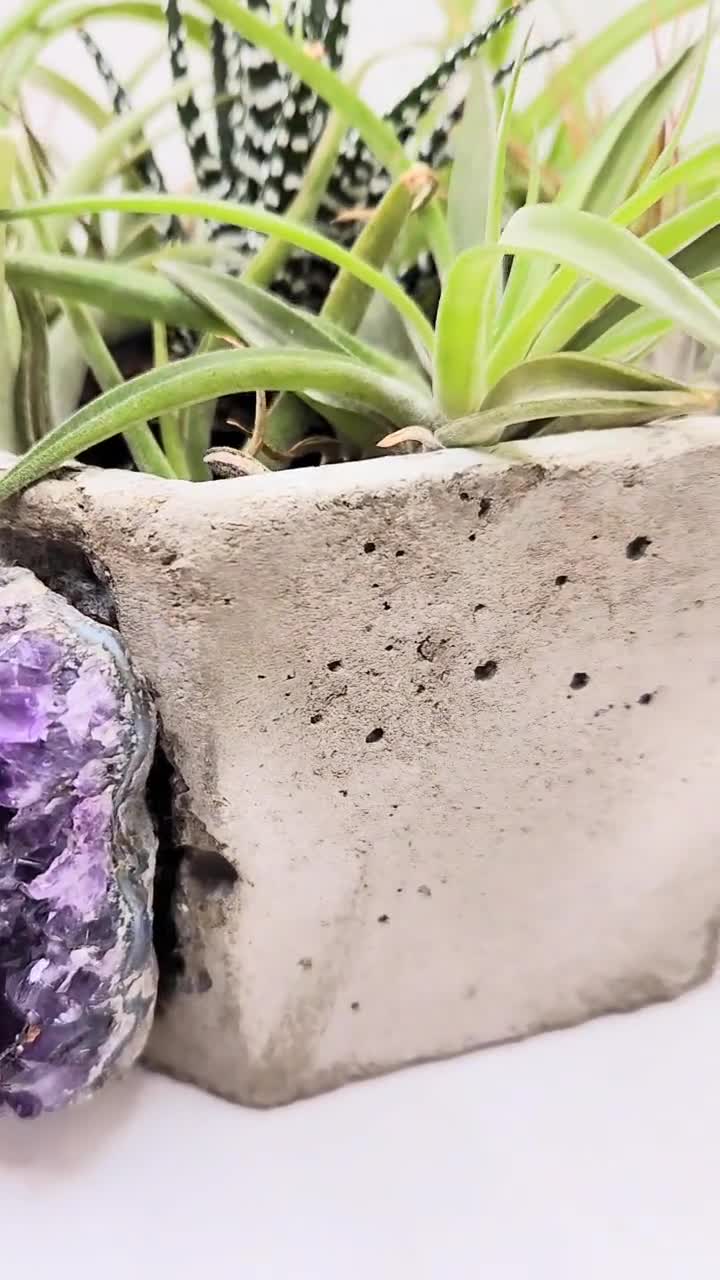 Geode Amethyst Crystal Planter, Large Succulent Pot, Dark Concrete With Dark Amethyst retailer From Uruguay, Gifts For Every Occasion And Holiday