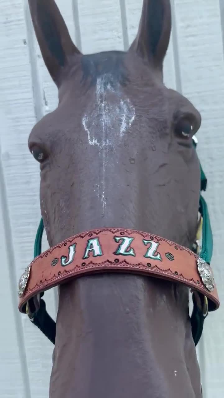 Personalized dark teal horse halter