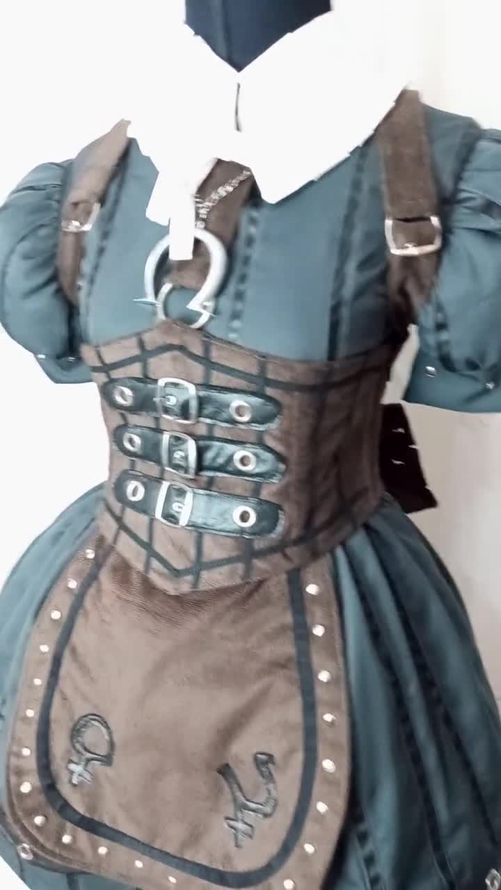 Alice madness outlet returns steampunk dress