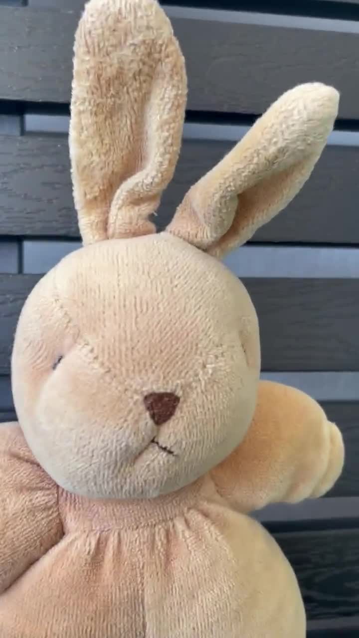 11 8 pouces d'animaux en peluche doux lapin mignon jouet en - Temu Belgium