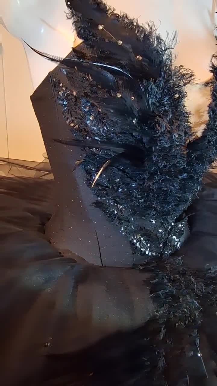 Professional Ballet Tutu Black Swan, Richly Decorated With Various