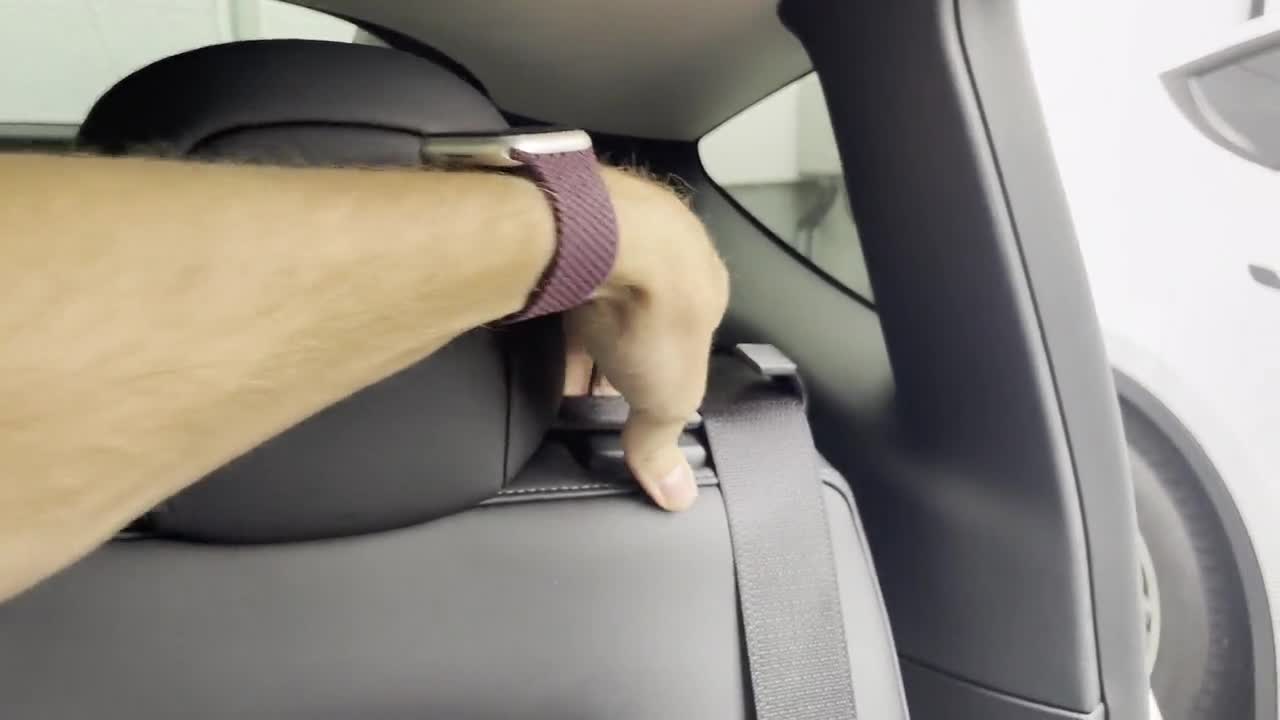 Guide-ceinture Tesla Model Y pour sièges arrière -  Canada
