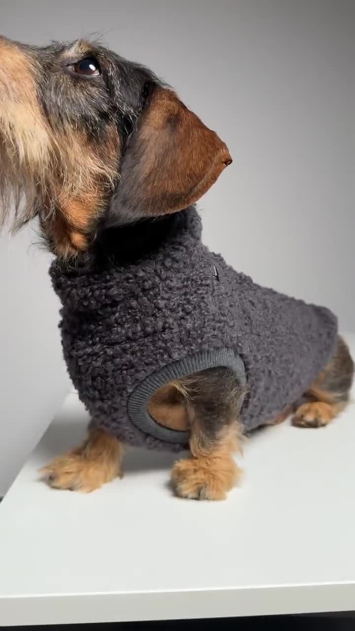 Pull Pour Chien Teckel - Laine - Ouverture Pour Harnais - Taille L (violet) - Pour Garder Votre Chiot Au Chaud
