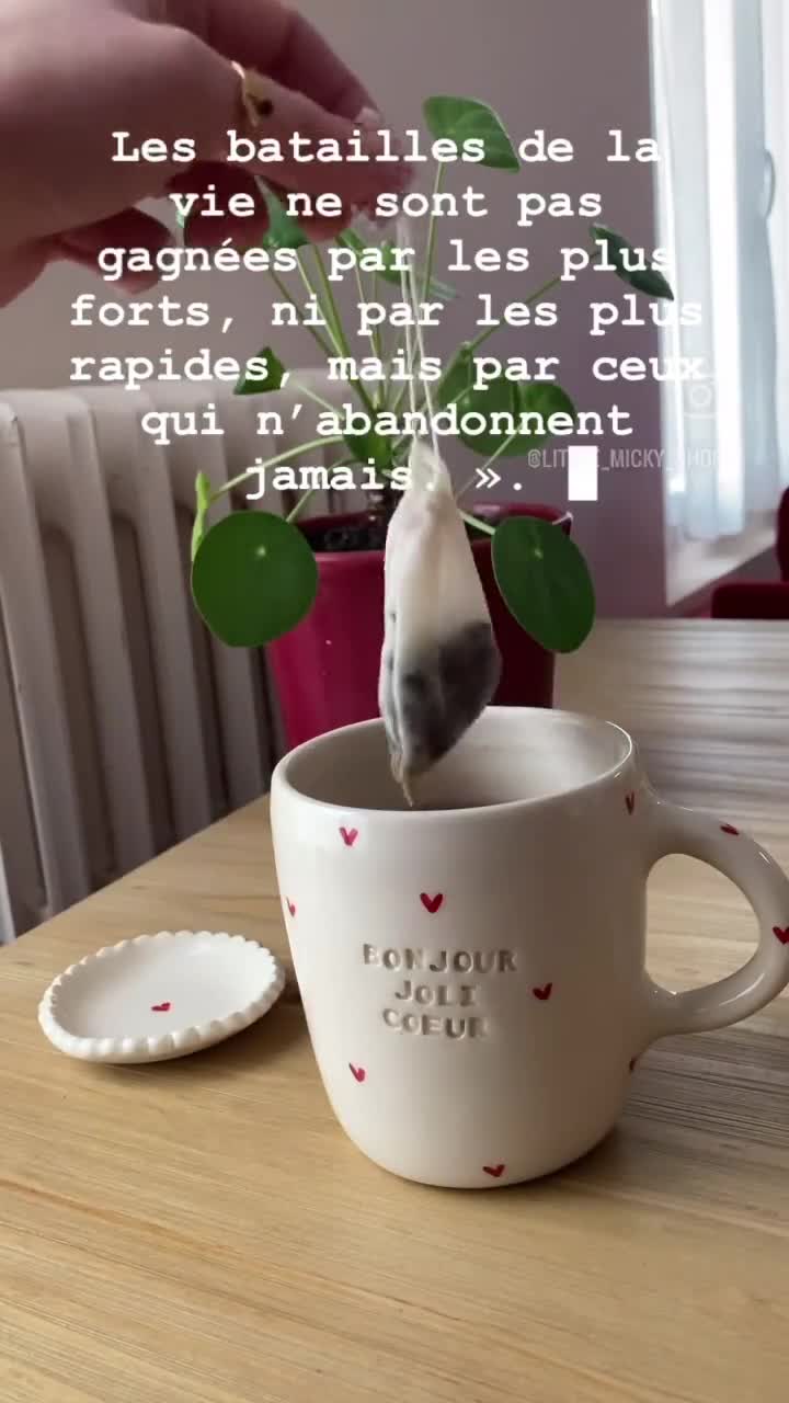 Set Da 2 Filtri Per Tè Riutilizzabili In Cotone Biologico, Con Bastoncino In Bambù - Per Tazza E Teiera