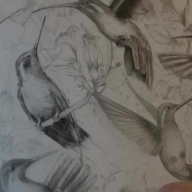 ハチドリのスケッチアートプリント：ヴィンテージスタイルの2羽の鳥の