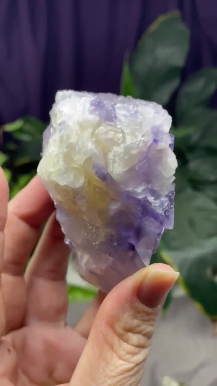 デントン鉱山 イリノイ州 黄鉄鉱を含む蛍石と方解石 - Etsy 日本