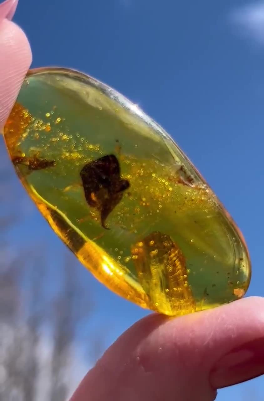 Genuine Bright Yellow Amber W/ Bug & Leaf Fossil Tree Resin Metaphysical  Manifestation 