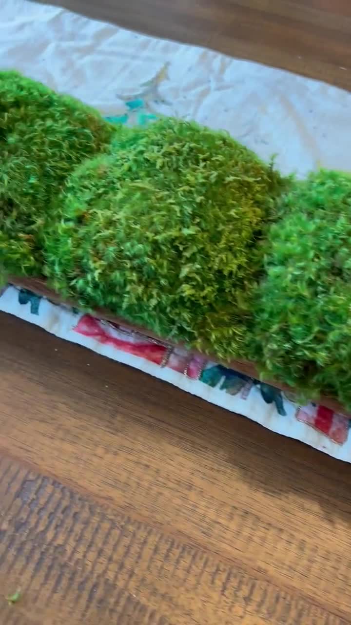 40 Moss Bowl Centerpiece – HollyBee and Company