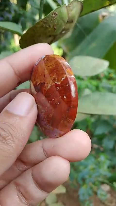 オパール化した珪化木 - Etsy 日本