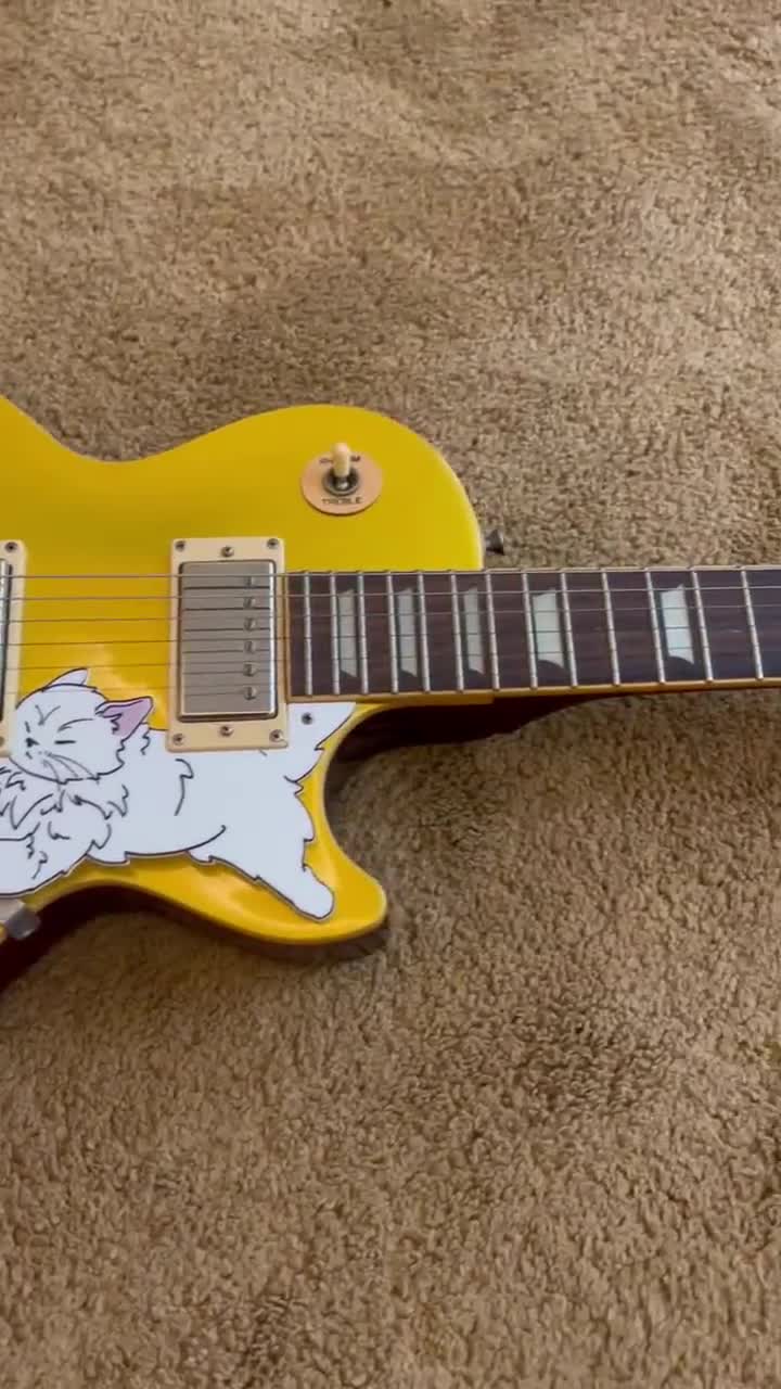 ホビー・楽器・アート respect レスポール キャット ピックガード、「レス ポー」 | エピフォンの