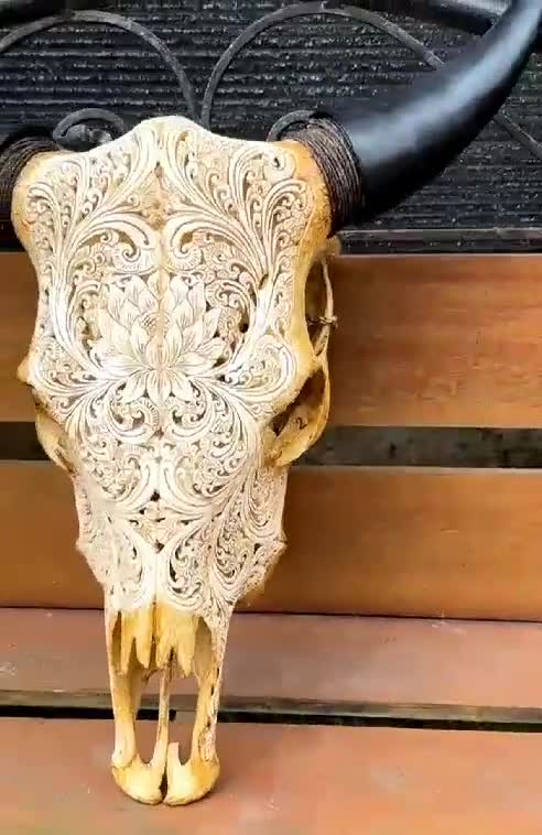 手彫りの牛の頭蓋骨と水牛の角：壁飾り - Etsy 日本
