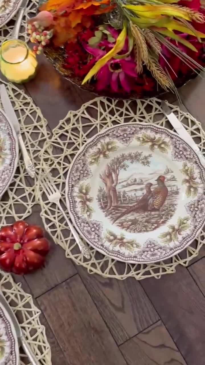 Royal Stafford Transferware Dinner Plates: Thanksgiving Fall Decor, Made in England video poster