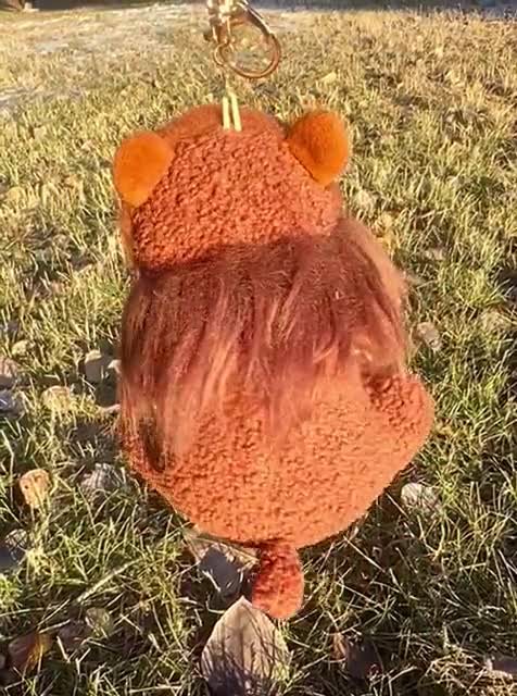 Grizzly 399 Keychain Plush Doll - Etsy