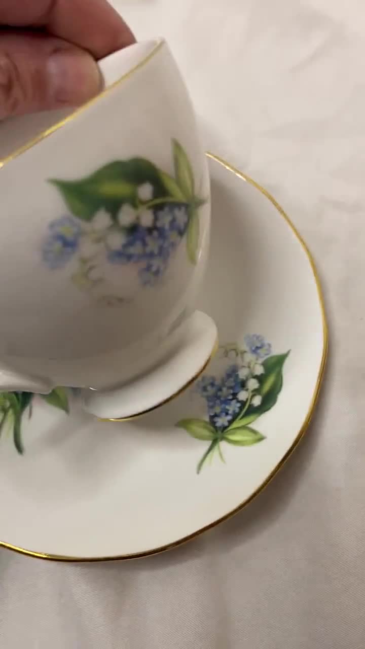 Queen Anne Tea Cup and Saucer Forget Me Nots and White Bluebell Flower  Design Bone China Vintage Tea Cup and Saucer with Blue White Flowers