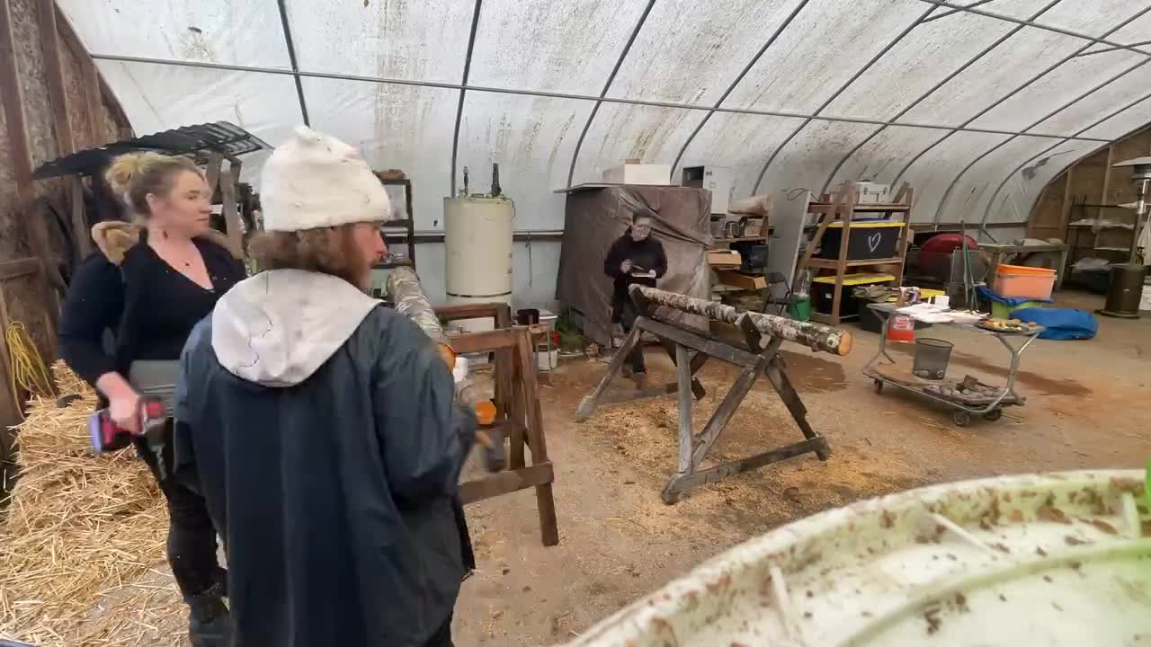 Bulk dowels/ Plug Spawn 1000 Bundle Packs Mushroom Dowels/Plugs Custom grown video poster