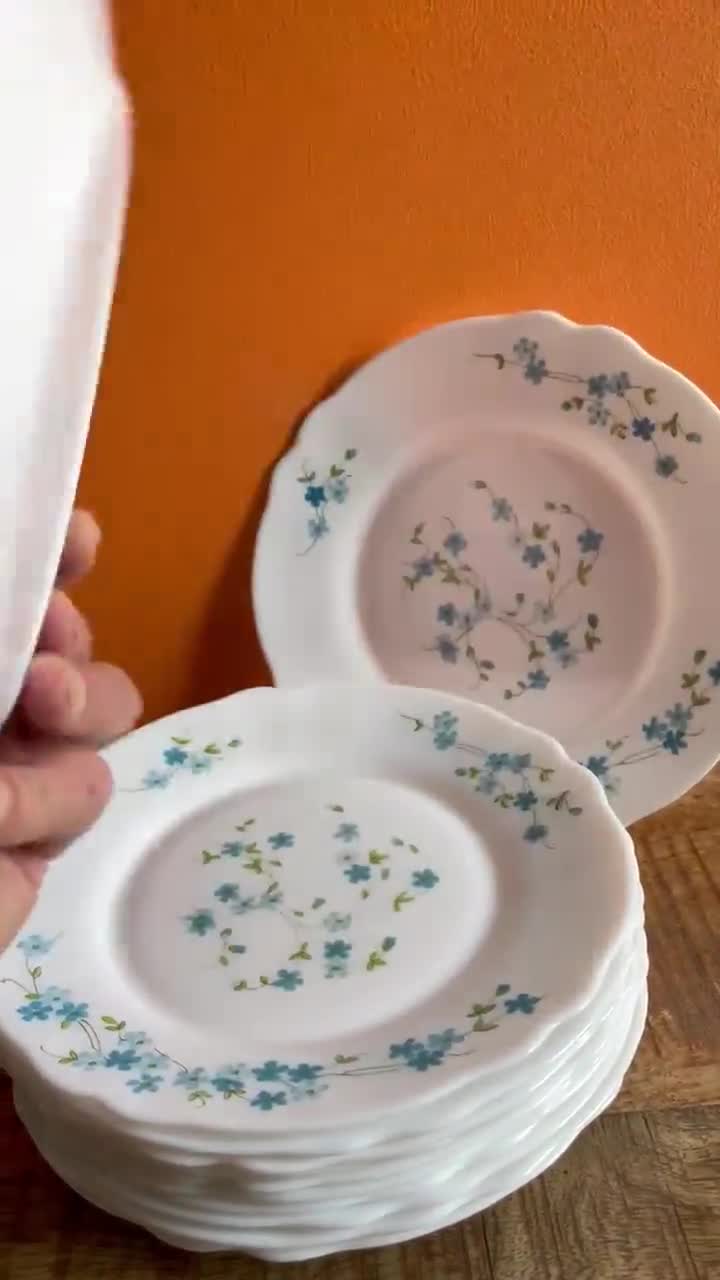 LOT DE 7 Assiettes Creuses à Soupe Vintage Myosotis Arcopal EUR 16,00