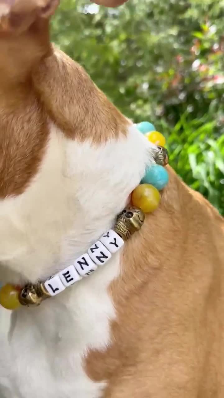 Jellyfish Glitter Bead Dog Collar