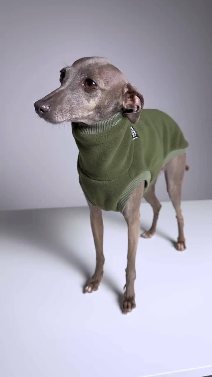 Fleece PRO Iggy Jumper – Italian Greyhound Clothing, Khaki - Etsy