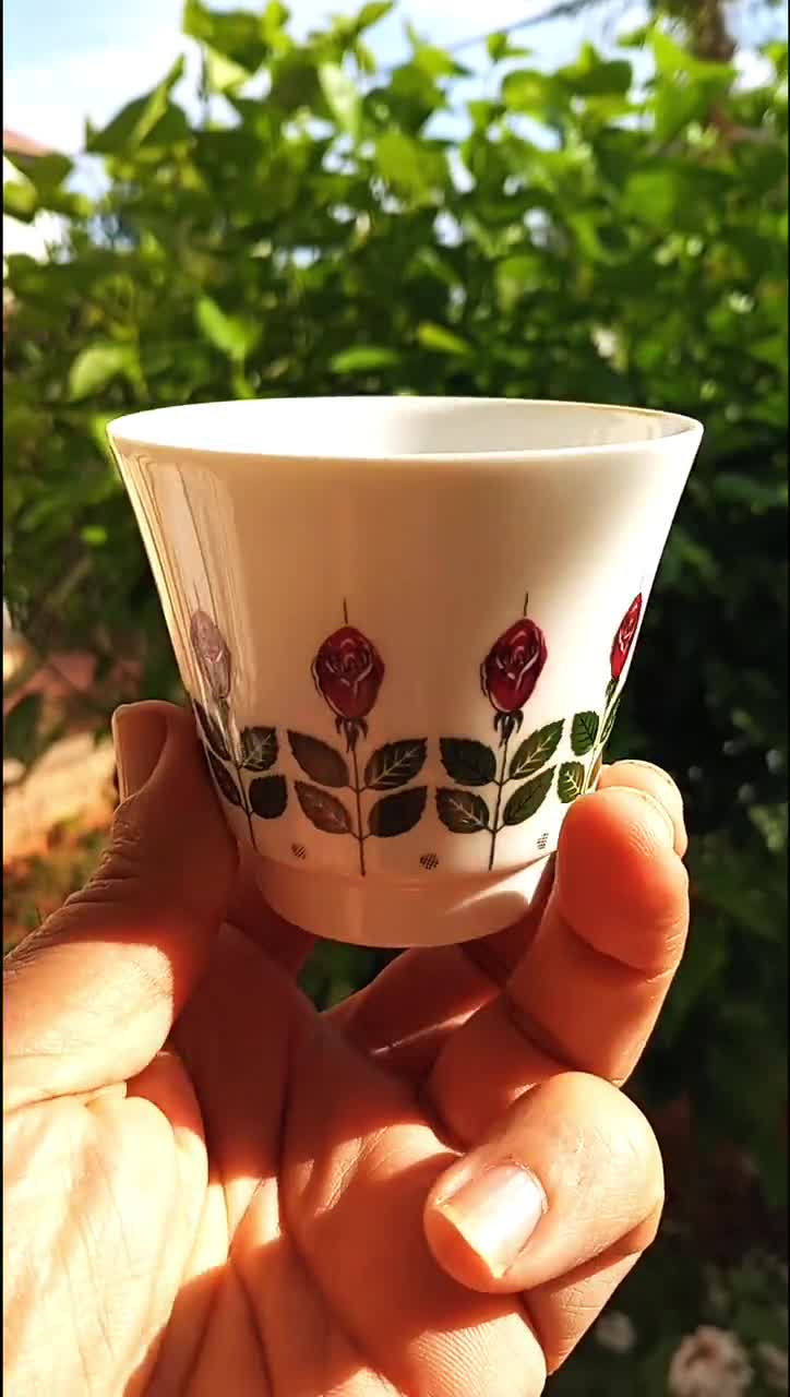 Tazza da caffè vintage anni '50 - Winterling Kirchenlamitz e Waldershof Bavaria Porcelain - Da collezione, motivo a rose video poster