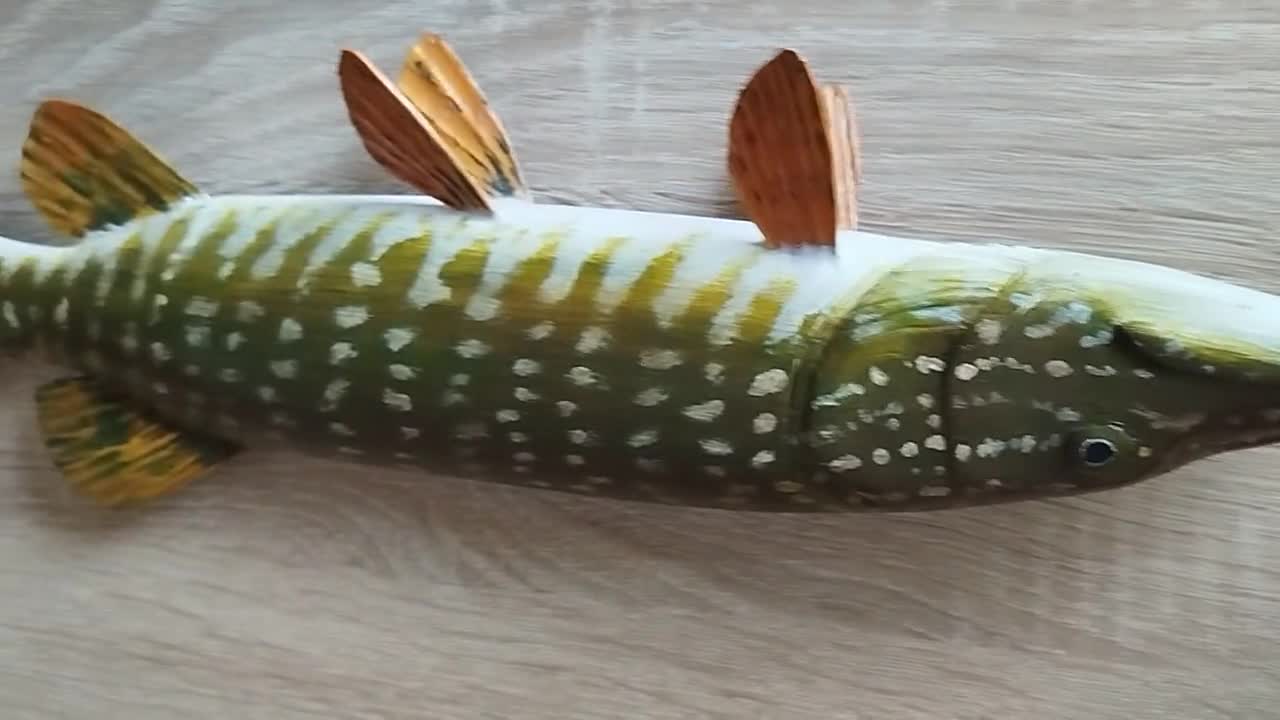 Northern Pike, Esox Lucius, Pike, 17-21 Inches 3D Wall Wooden Fish