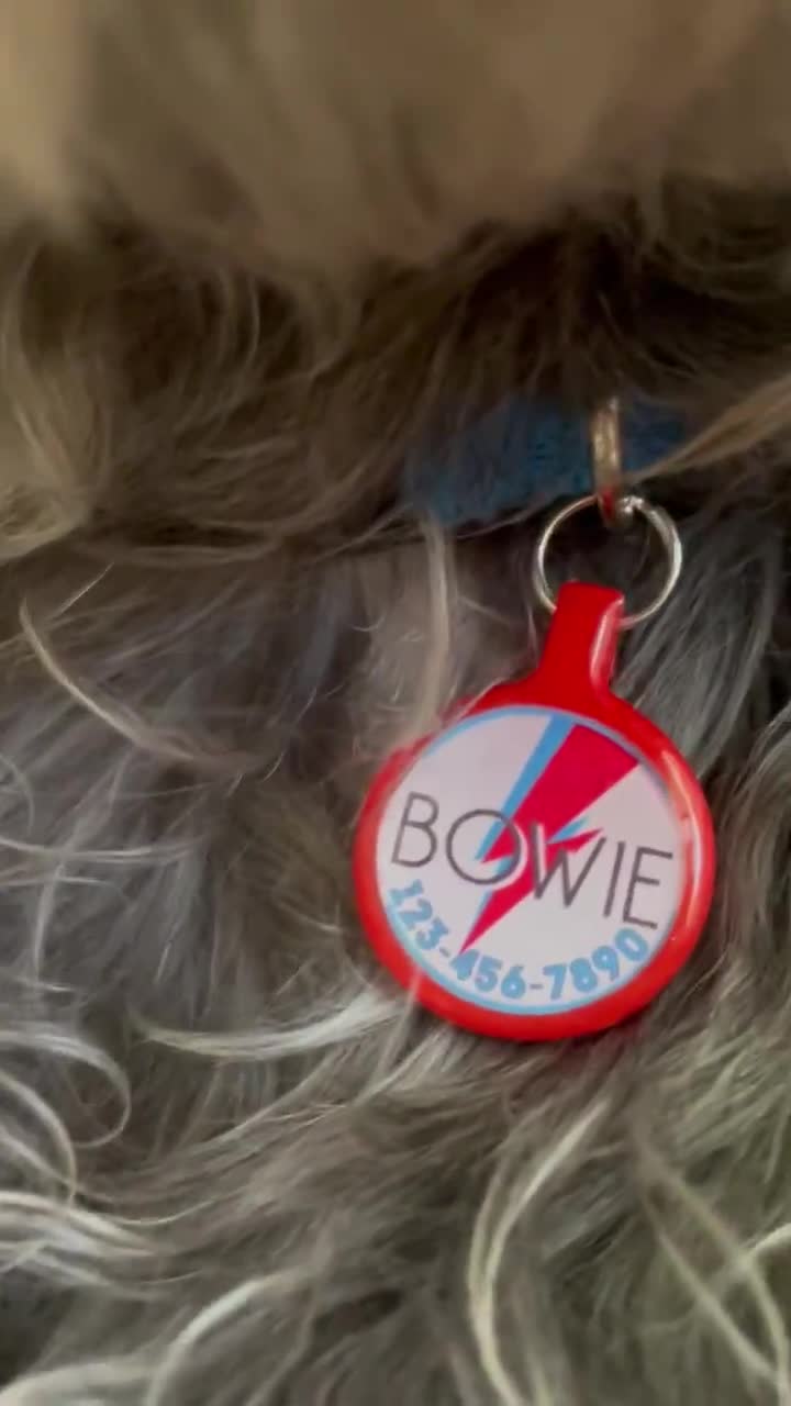 Bowie Ziggy Stardust Personalized Dog ID Pet Tag Custom Pet Tag You Choose Tag Size Colors Music Fan David Bowie Cute Cat Tag