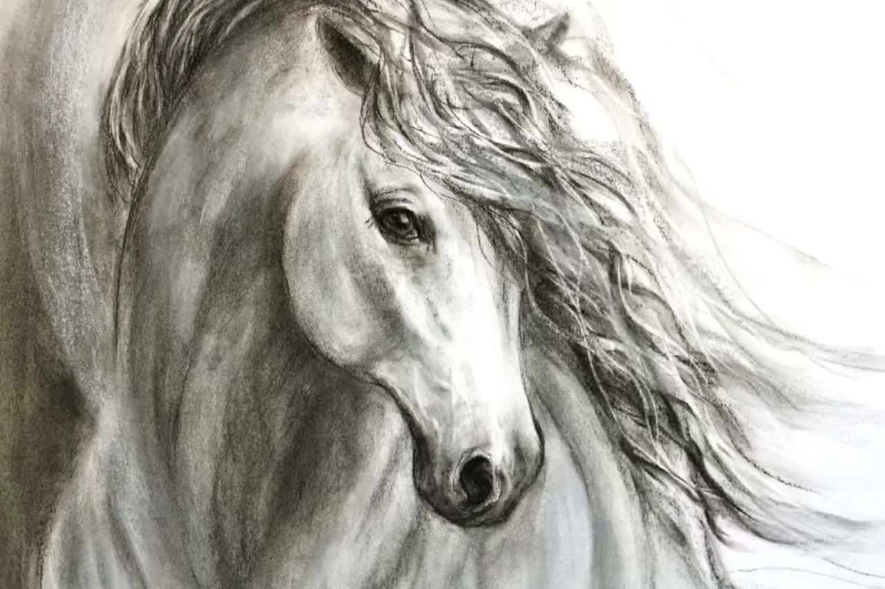 Charcoal horse drawing of 'Equine Sublime' giclee print on canvas or paper, image size:1280x852