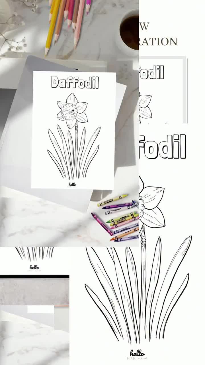 Página para colorear de narcisos: flores imprimibles, páginas para colorear botánicas para niños y adultos, descarga digital. video poster