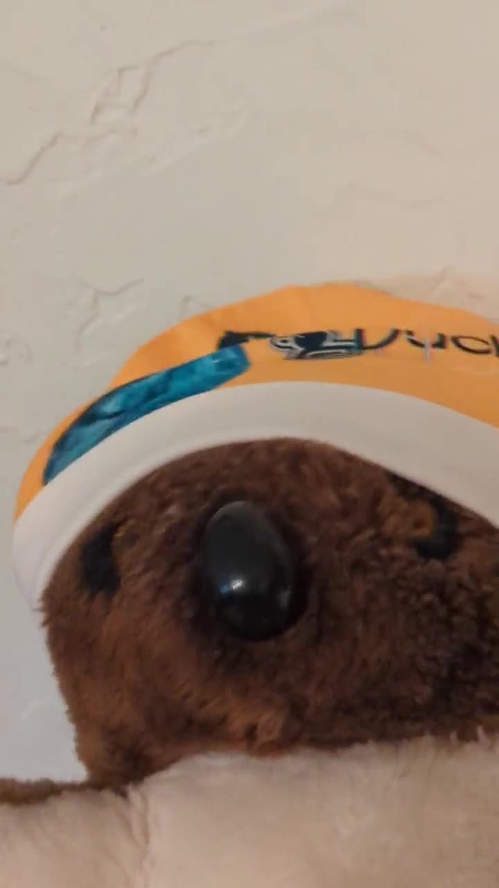 Gorro de bebé DuckCloud9 (paloma azul) video poster